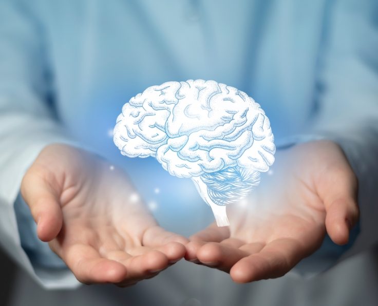 Brain,Issues,Medical,Concept.,Photo,Of,Female,Doctor,,Empty,Space.